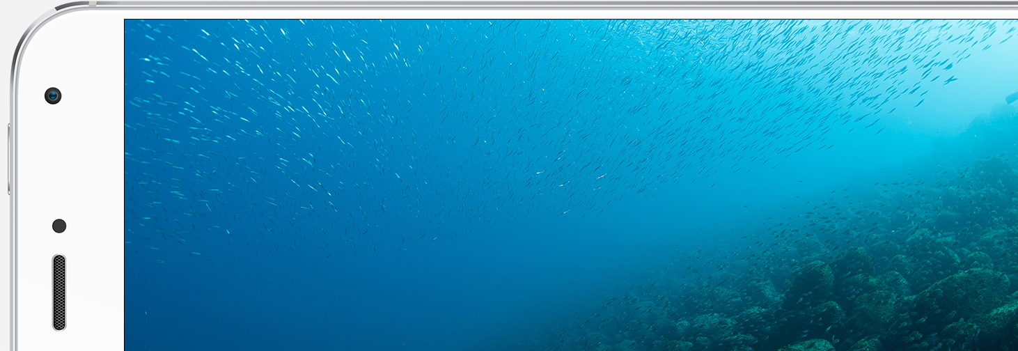 Screen